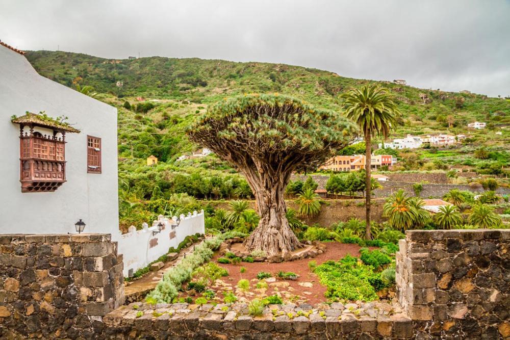 Acogedor Estudio En Playa San Marcos, Icod De Los Vinos Apartamento Exterior foto