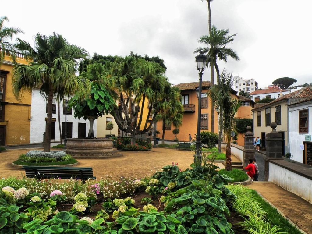 Acogedor Estudio En Playa San Marcos, Icod De Los Vinos Apartamento Exterior foto